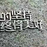 一颗小草