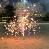 花开人间