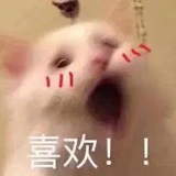 胡一天（19年版