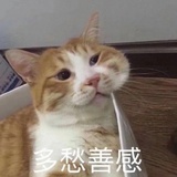 丹妮不再是我！