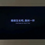 不是momo