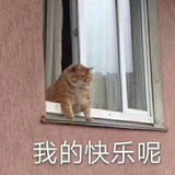 是个美女yyy