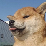 蒙蒙西