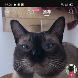 焚山煮海