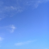 沙沙沙