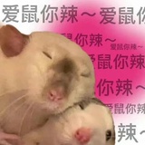 天天开心
