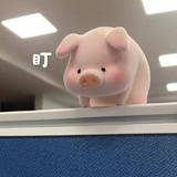 很哇塞