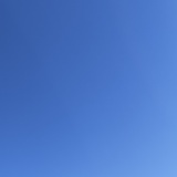 昵称