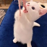 生活