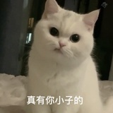 请去学习