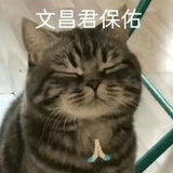 心想事成的小宋