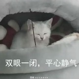 海底捞在逃虾滑
