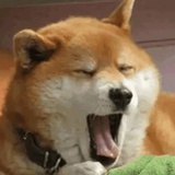 椰汁