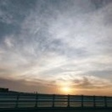 太好了肽