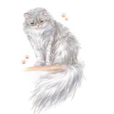 可尼可尼可尼