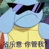 杰尼龟小子