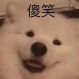 下次一定