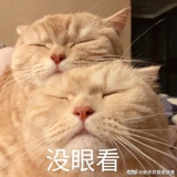 哈哈呀