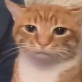 村长