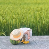 迟シ夏