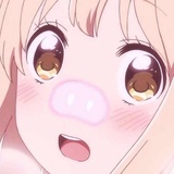 藤岛加奈子.