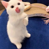 豆友222871296