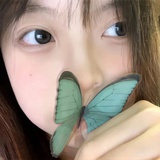 求公司倒闭