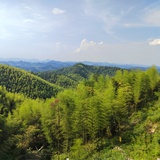 你说对就对