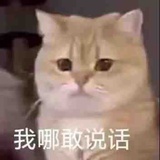 娃哈哈
