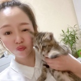 A小确幸