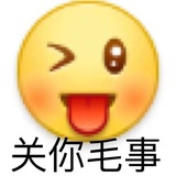 只养一只猫