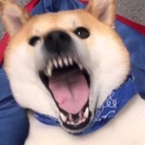 小怪兽