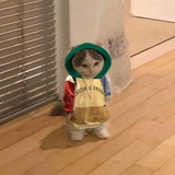 不要找我借钱