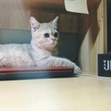 芥芥不是大耗子
