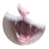 一个昵称
