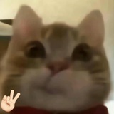 路人一枚呀