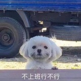 火星李二狗