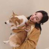 阿勒