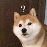 哇哈哈