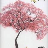 云淡风清