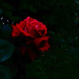 我要挣钱花