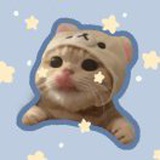 哥白尼