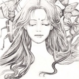 西黄柿子