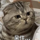 西木