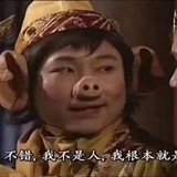 呼噜呼噜虎