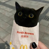 cc
