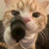 无敌且不自知