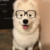 不怂
