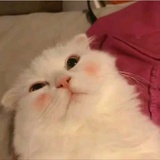许阿min