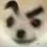 候鸟与蛇相撞